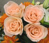 fresh flowers
